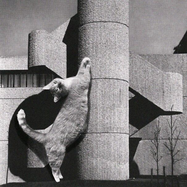 Endo Pharmaceuticals Building; Paul Rudolph, 1962 - 1964, Garden City, Long Island, United States