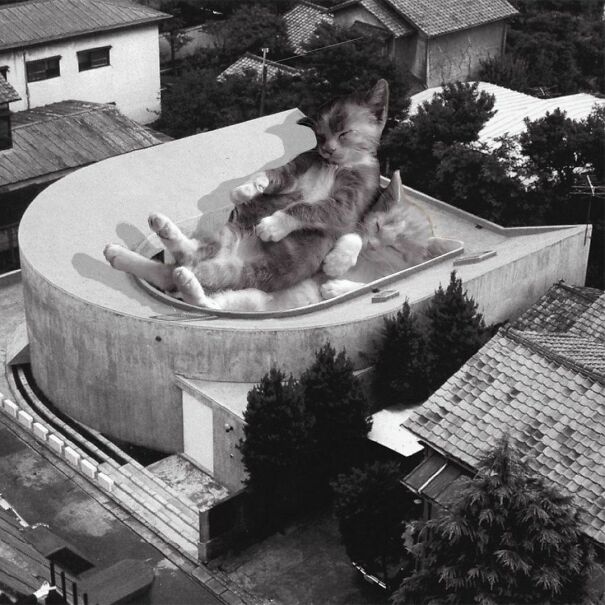 U-House; Toyo Itob, 1977 D. 1988, Tokyo, Japan