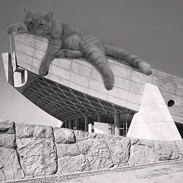 Kagawa Prefectural Gymnasium; Kenzo Tange, 1962 - 1964, Takamatsu, Japan