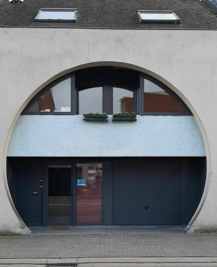 Giant Cat Ate A House