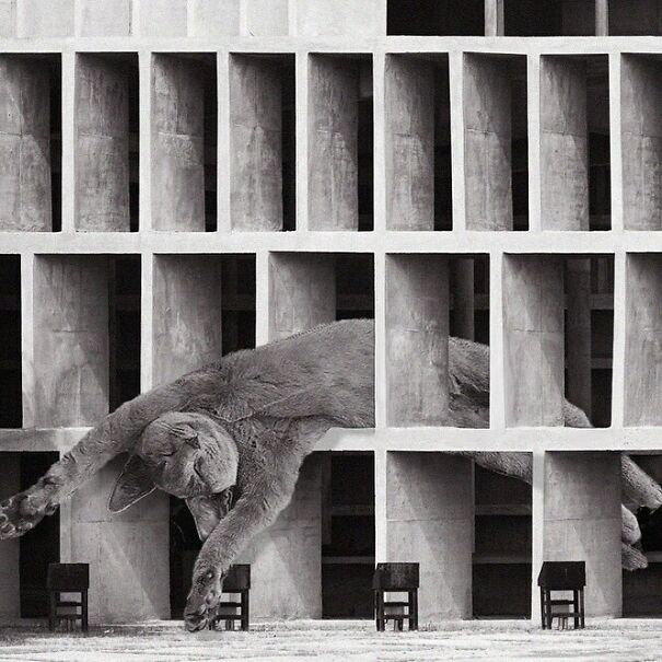 Tower Of Shadows; Le Corbusier, 1952, Chandigarh, India