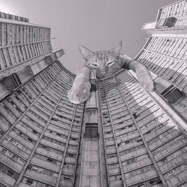 Torre Dorrego; Luis T. Caffarini, Alfredo Joselevich, & Alberto Ricur, 1968 - 1970, Buenos Aires, Argentina