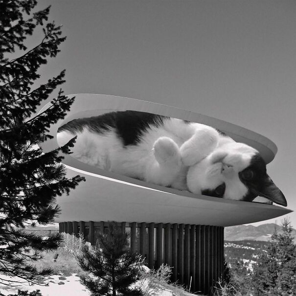 Deaton Sculptured House; Charles Deaton, 1963, Genesee, Colorado