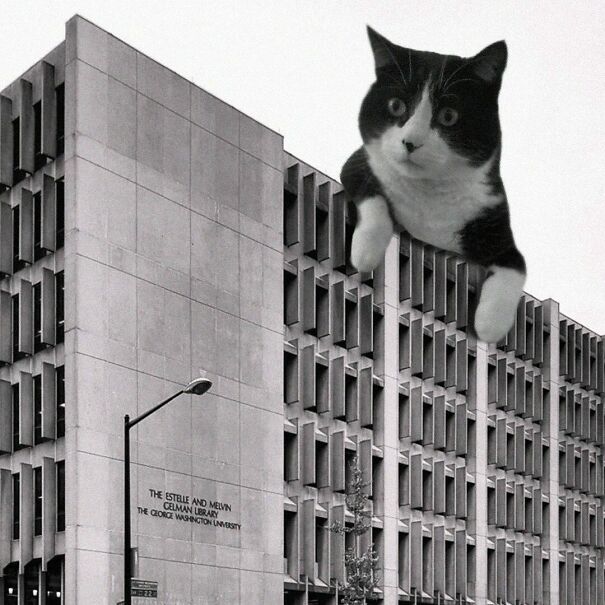 Gelman Library; Cox Graae + Spack Architects, 1971 - 1973 (Renovated 2013), George Washington University, Washington D.C.