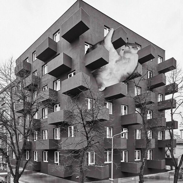 Unikato; Kwk Promes, 2018, Katowice, Poland