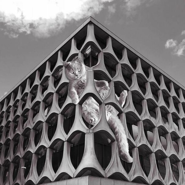 Libre - Sect. Bnp Paribas Fortis; Marcel Lambrich, C. Grochowski & D. De Laveleye, 1969-73, Brussels, Belgium