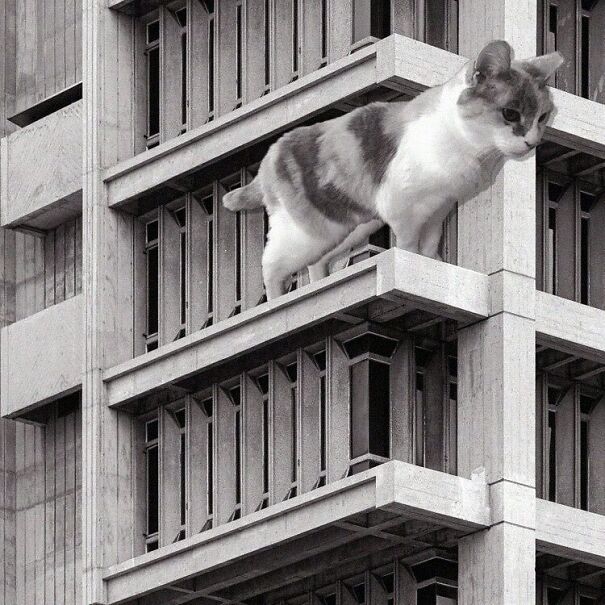 Netsch University Hall, UIC; Walter Netsch, 1964, Chicago, Illinois