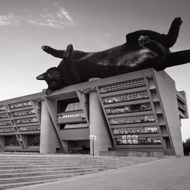 Dallas City Hall; I.M Pei & Theodore Musho, 1978, Dallas, Texas