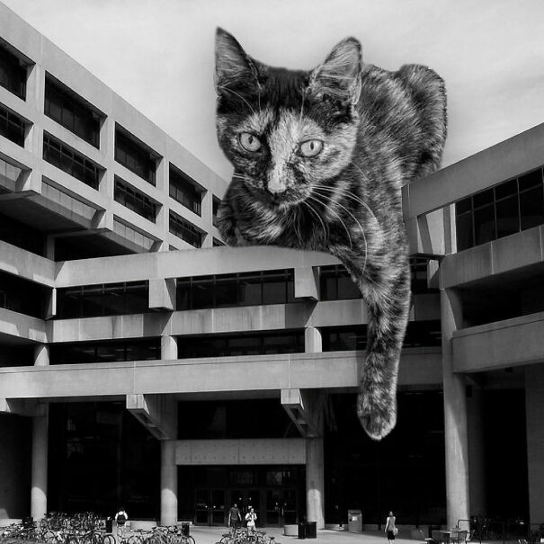 Helen C. White Hall, University Of Wisconsin—Madison; Gordon Pierce, 1969, Madison, Wisconsin