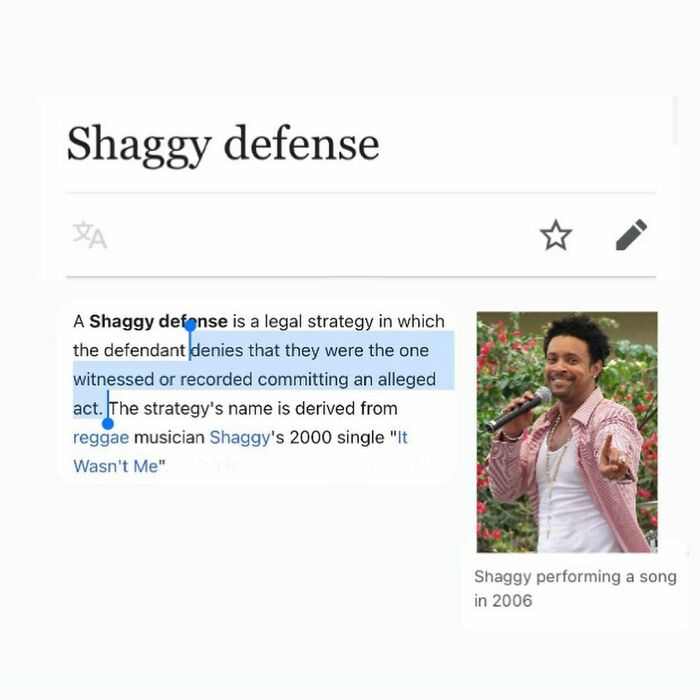 Your Honor, It Wasn’t Me!!!