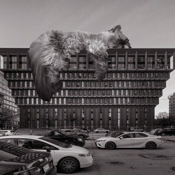 Former Sears Office Building; Maxwell Miller, 1971, Toronto, Canada