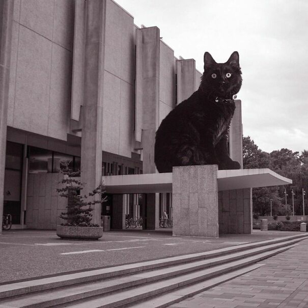 Samuel L. Paley Library, Temple University; Nolen & Swinburne, 1965, Philadelphia, Pennsylvania