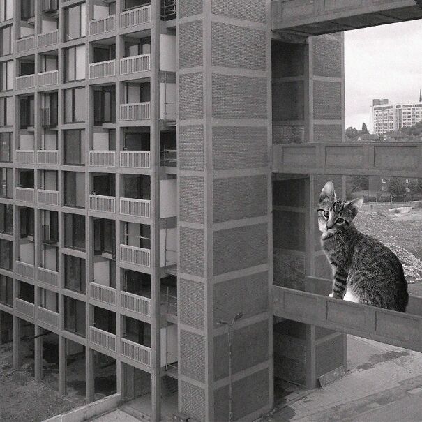 Park Hill; Jack Lynn & Ivor Smith, 1961, Sheffield, England