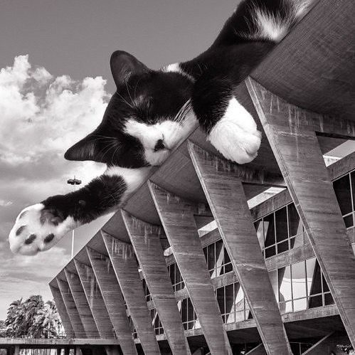 Museum Of Modern Art In Rio De Janeiro; Affonso Eduardo Reidy, 1948, Rio De Janeiro, Brazil