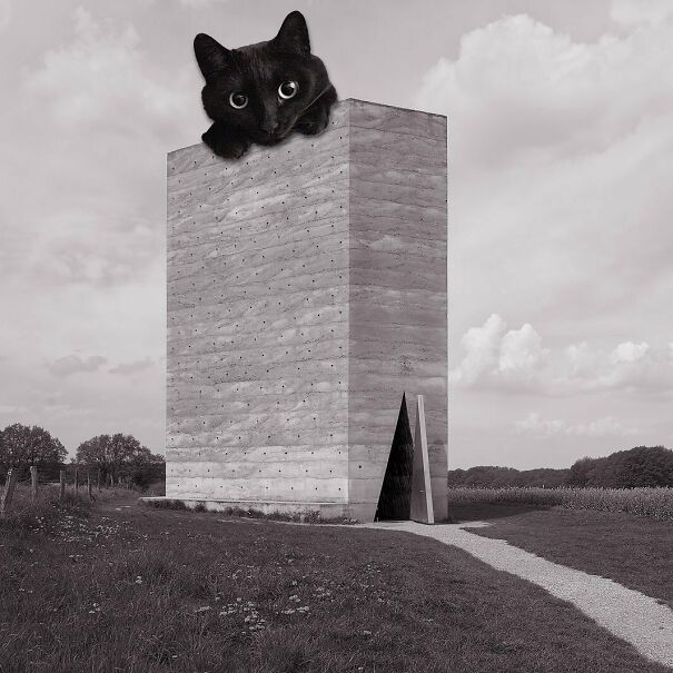 Bruder-Klaus Field Chapel; Peter Zumthor, 2007, Mechernich, Germany