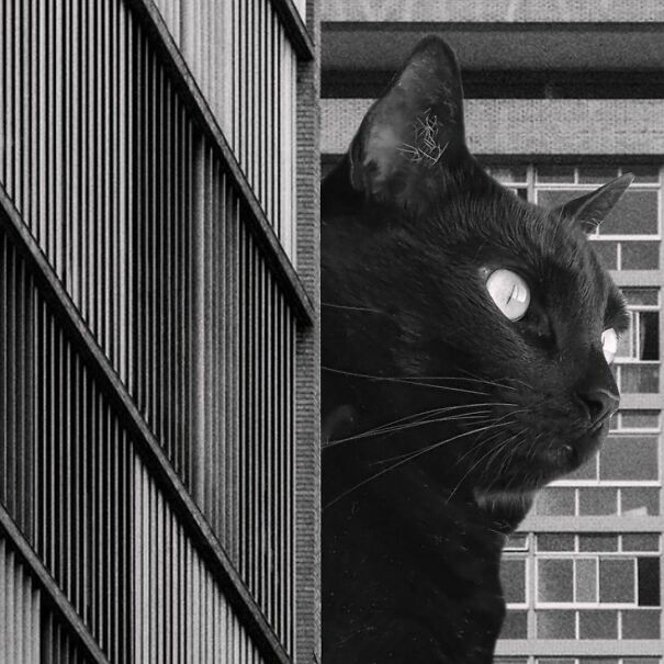 Edificio JK; Oscar Niemeyer, 1952, Belo Horizante, Brazil