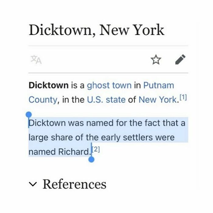 A Lot Of Richards Living There