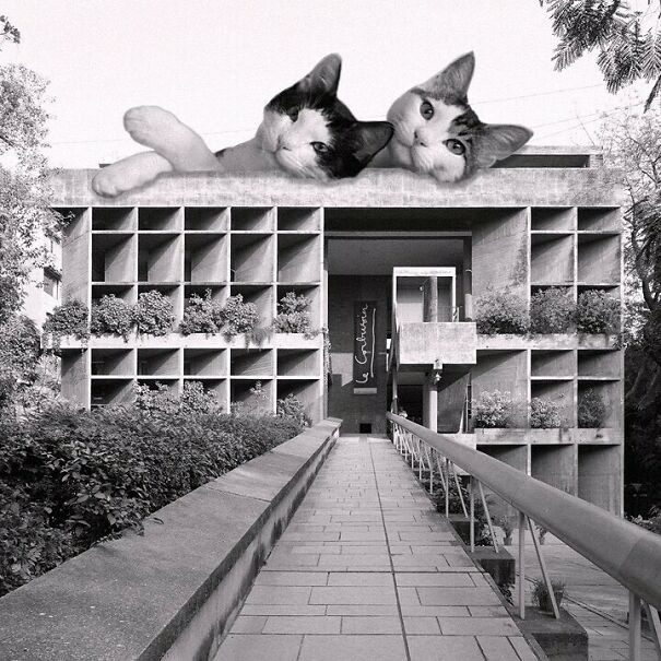 Mill Owners' Association Building; Le Corbusier, 1954, Ahmedabad, India