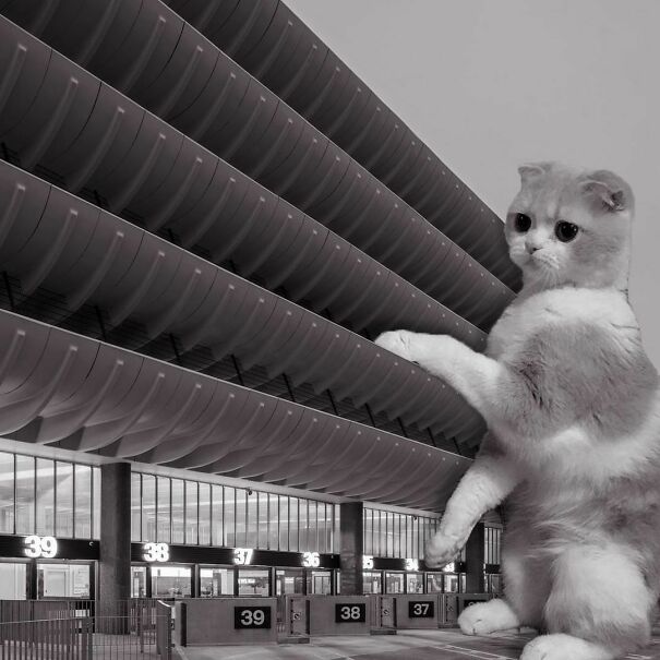 Preston Bus Station; Keith Ingham, Charles Wilson & E.H. Stazicker, 1969, Lancashire, England