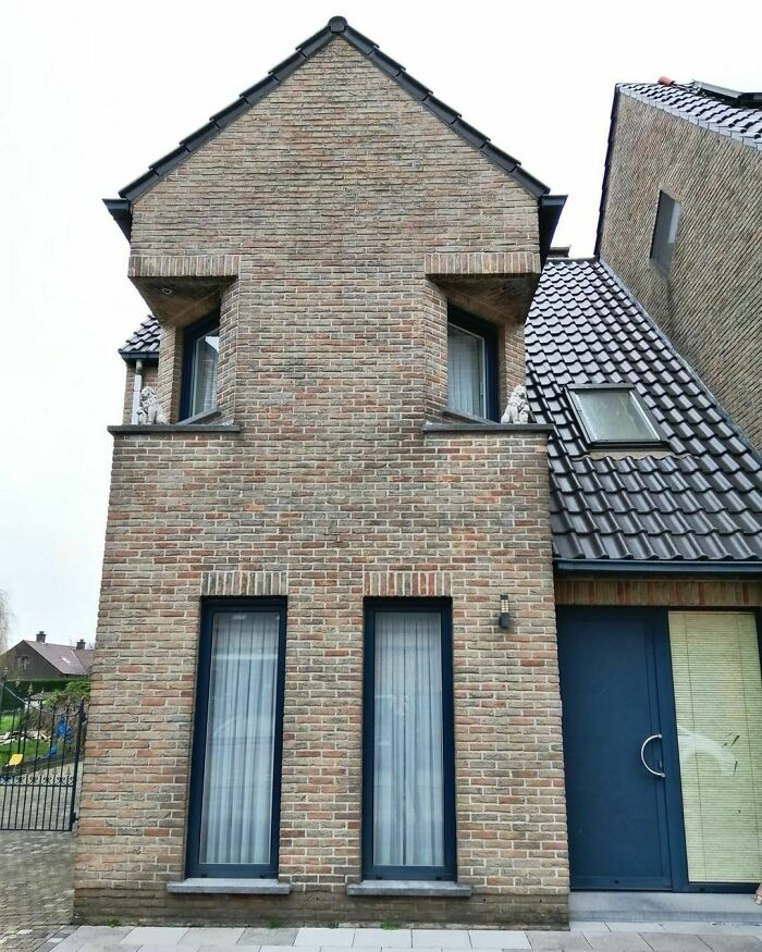 The Eye Of The Tiger (I Mean Lion Look Closely)