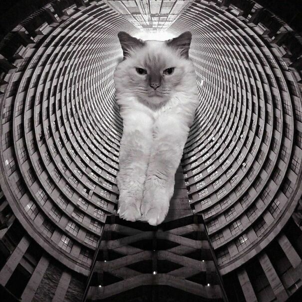 Ponte City Apartments; Manfred Hermer, 1975, Johannesburg, South Africa