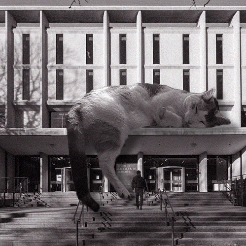 The Rock, Brown University Library; Warner, Burns, Toan & Lunde, 1964, Providence, Rhode Island