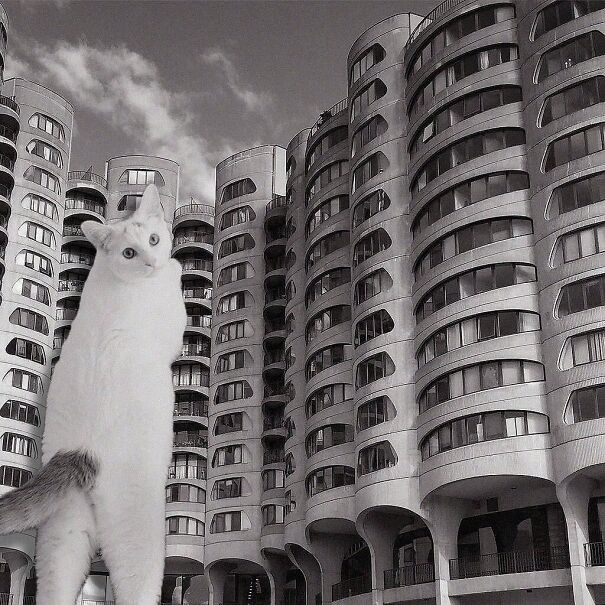 River City; Bertrand Goldberg, 1986, Chicago, Illinois