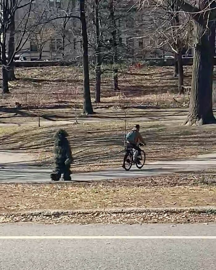 Effective Park Attire When You See Your Ex 