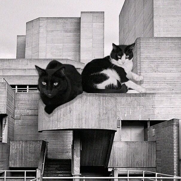 Royal National Theatre; Denys Lasdun, 1976, London, England