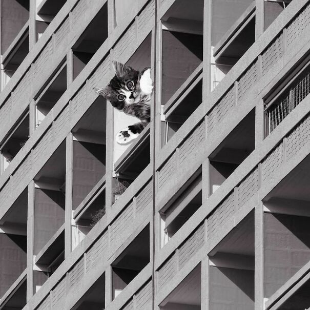 Unite D'Habitation; Le Corbusier, 1952, Marseille, France
