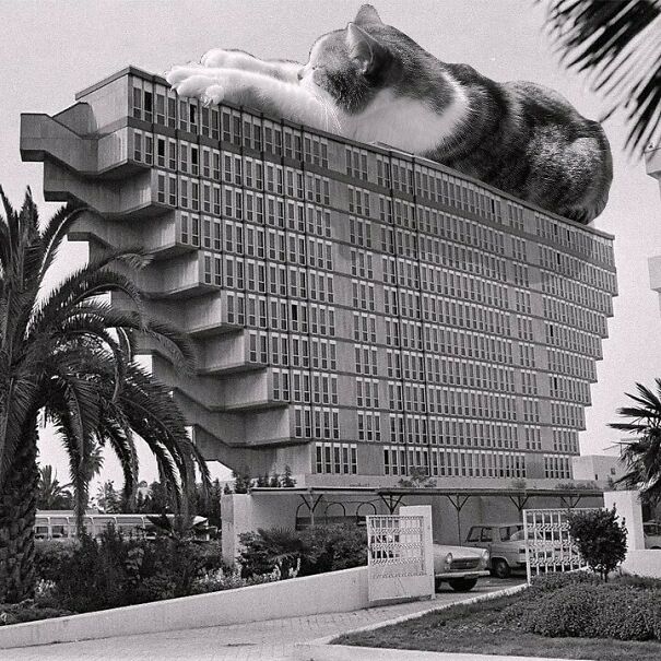 Hôtel Du Lac; Raffaele Contigiani, 1973,tunis, Tunisia