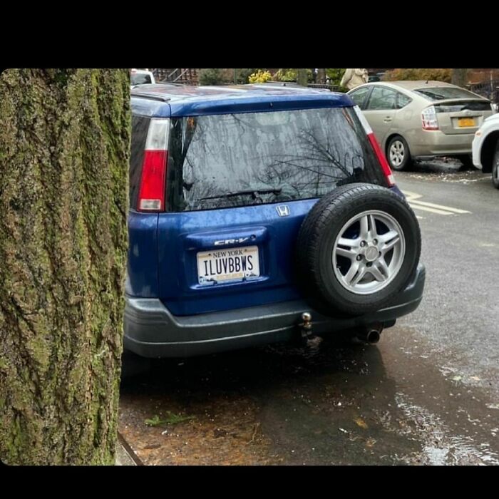 Gotta Love NY Vanity Plates