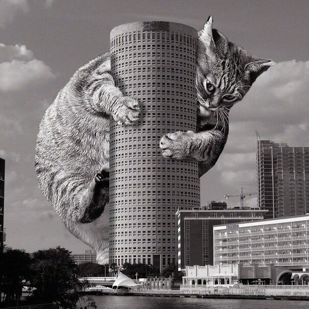 Rivergate Tower; Harry Wolf, 1988, Tampa, Florida