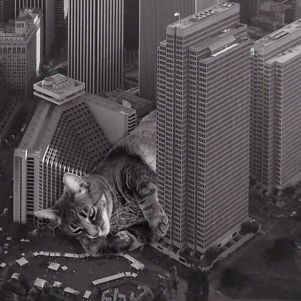 Embarcadero Center; John C Portman Jr, 1971-1989, San Francisco, California