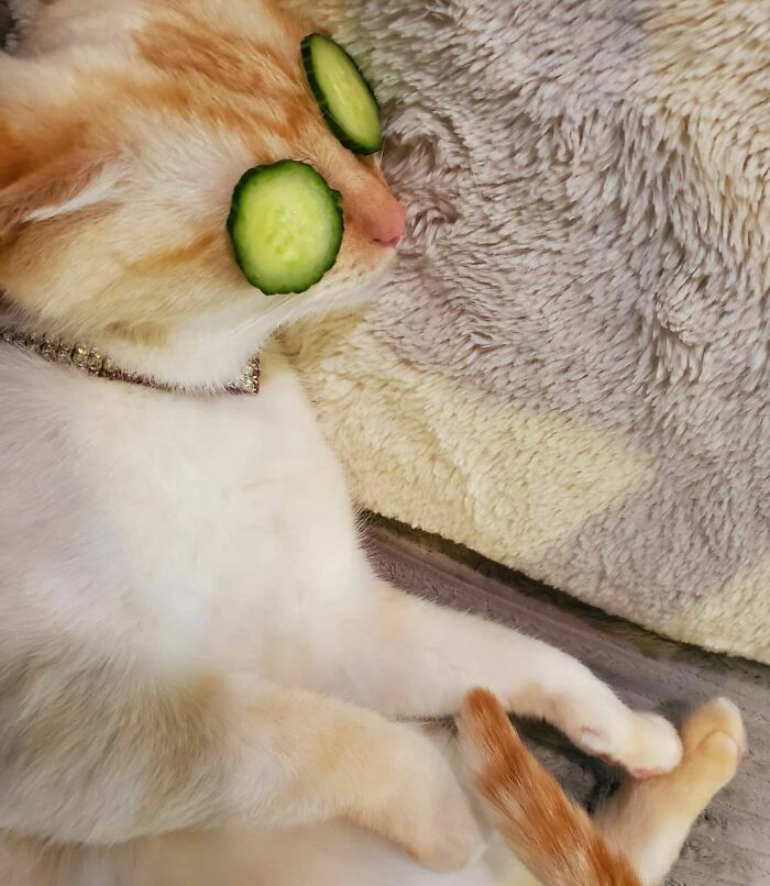 After A Hard Workout, Time To Relax And Meditate