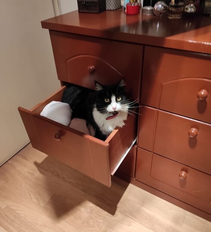 New Comfy Spot Confirmed