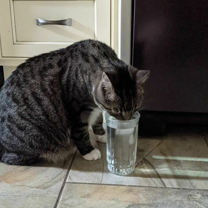 He's Not At All Spoiled