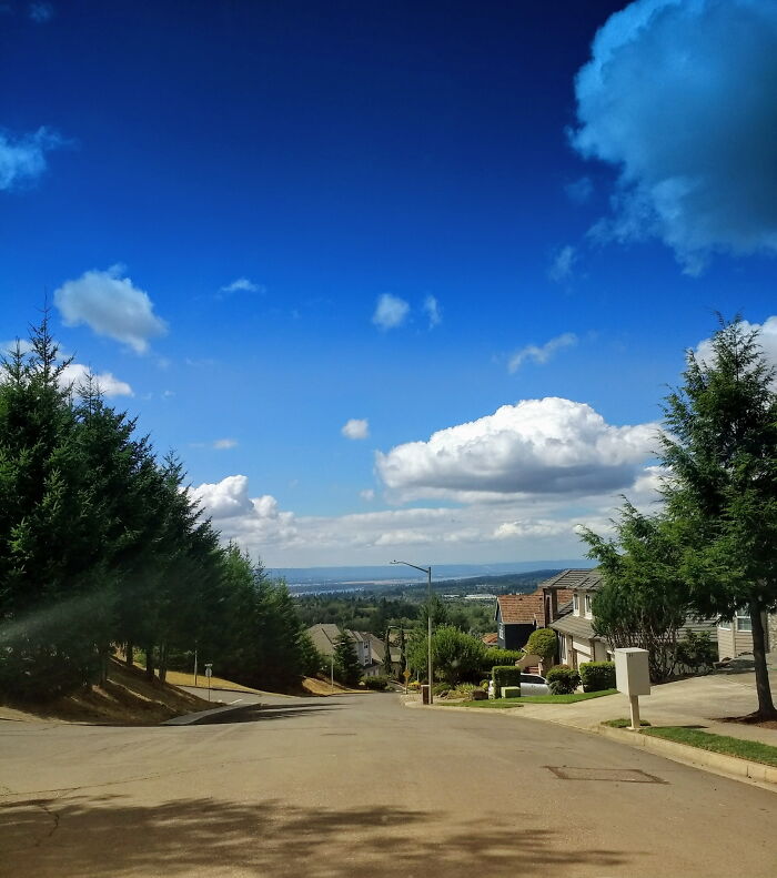 Columbia River From Prune Hill, Camas Wa