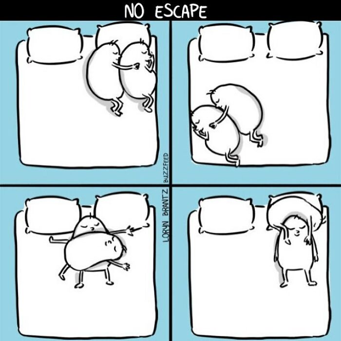 Comics By An Artist Who Knows Very Well What It Is To Be A Woman