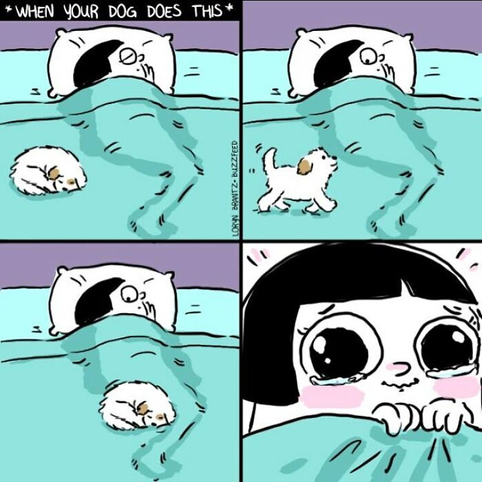 Comics By An Artist Who Knows Very Well What It Is To Be A Woman