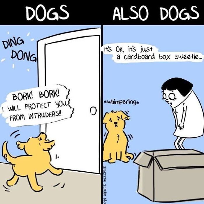 Comics By An Artist Who Knows Very Well What It Is To Be A Woman