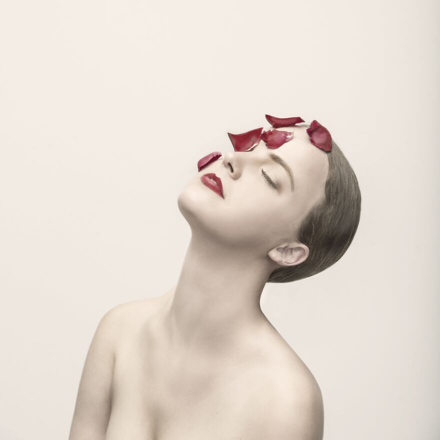 My Love Has The Prettiest Rose Petals (Runner Up In Beauty)