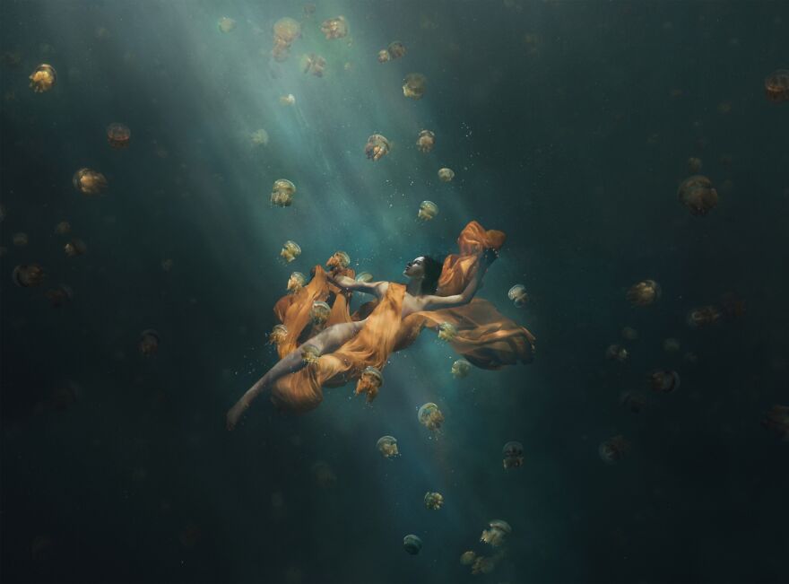 Alien Worlds (Commended In Open Theme)