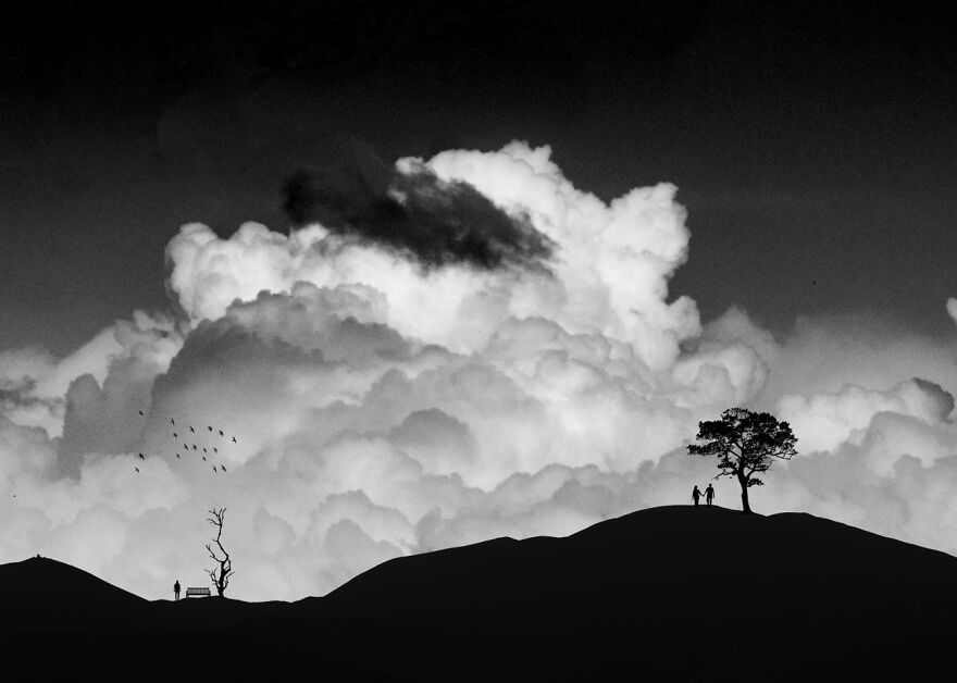 Fate (Commended In Open Theme)