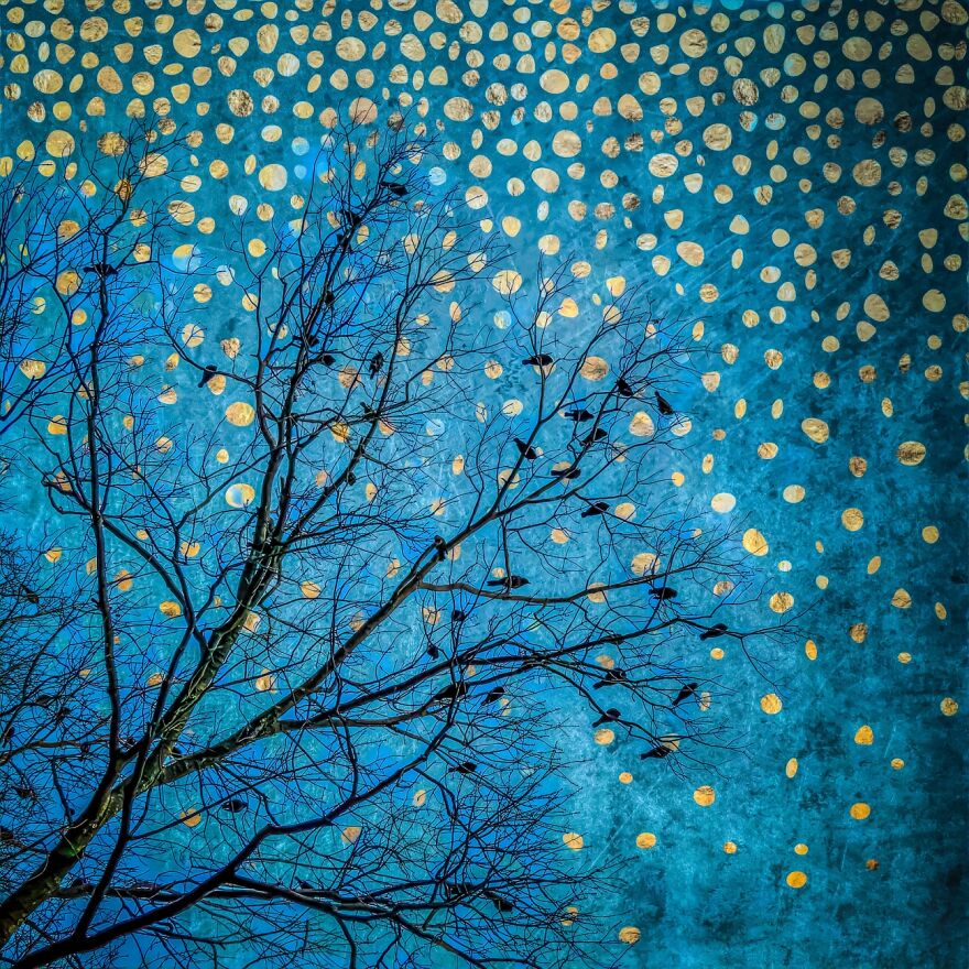 Magic 2 (Commended In Experimental)