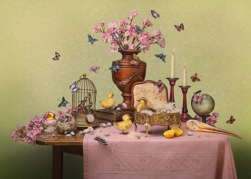 Spring 2020 (Commended In Still Life)