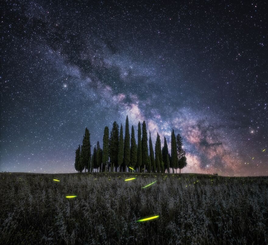 Lucciole Sotto Le Stelle (Commended In Nature And Landscape)