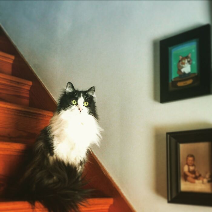 Dexter: Named After Dexter Morgan. He's Killer!