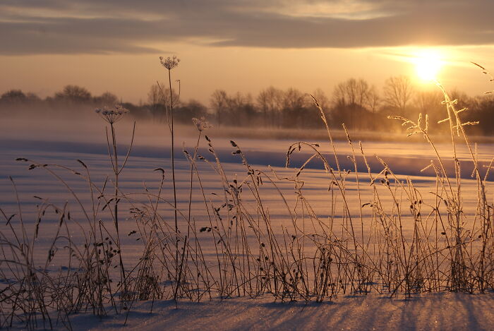 A Sunny Morning In The Snow