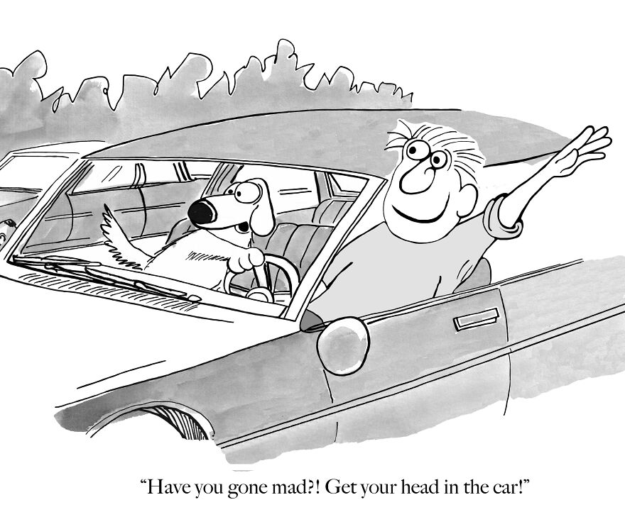 A Cartoonist Draws Cats And Dogs To Reflect On Human Behaviour [new Images]